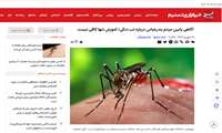 آگاهی پایین مردم بندرعباس درباره تب دنگی/ آموزش تنها کافی نیست